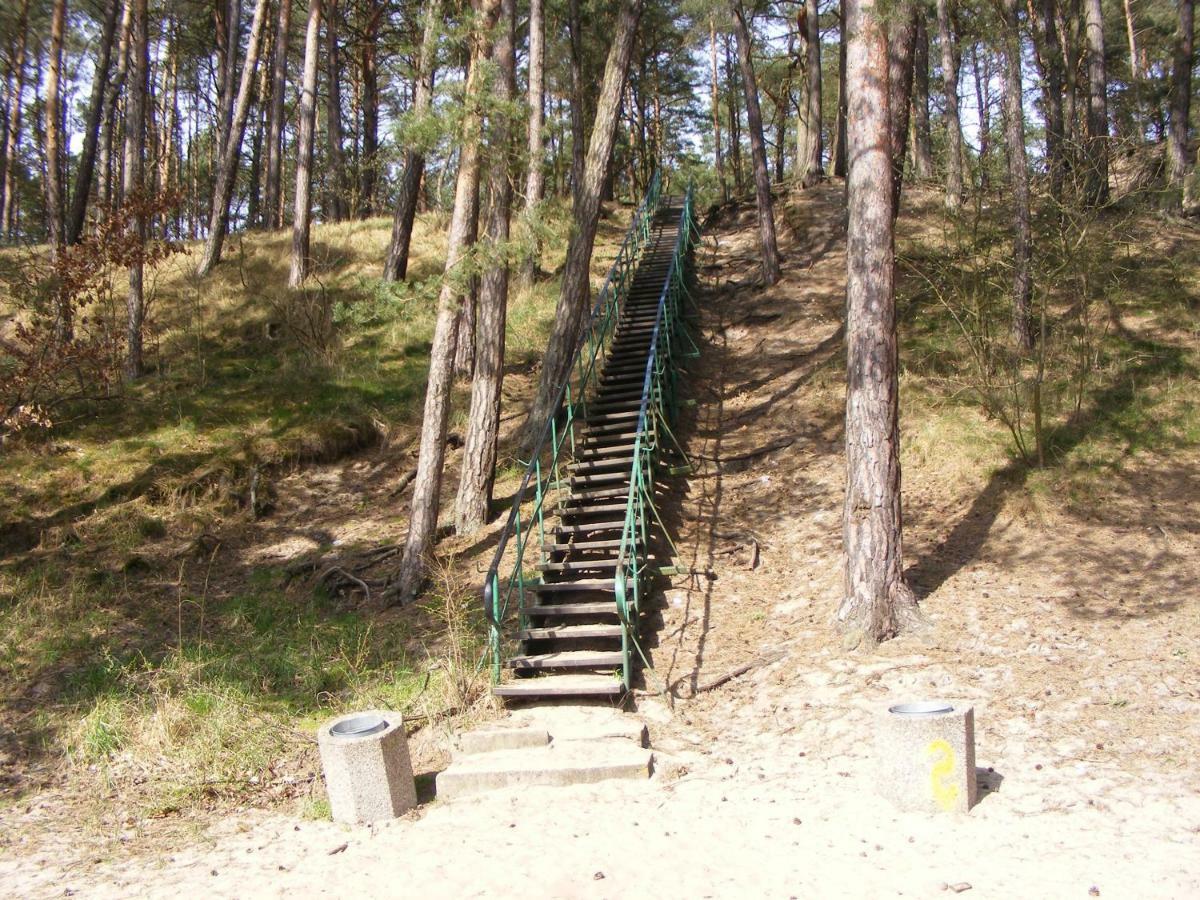 Zacisze Mikoszewo
